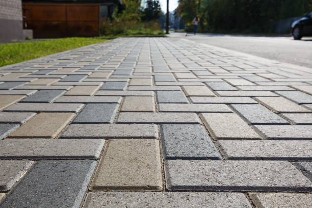 Best Local Driveway Pavers  in Eustis, FL