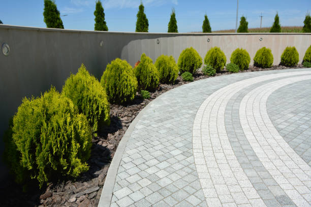 Best Best Driveway Pavers  in Eustis, FL